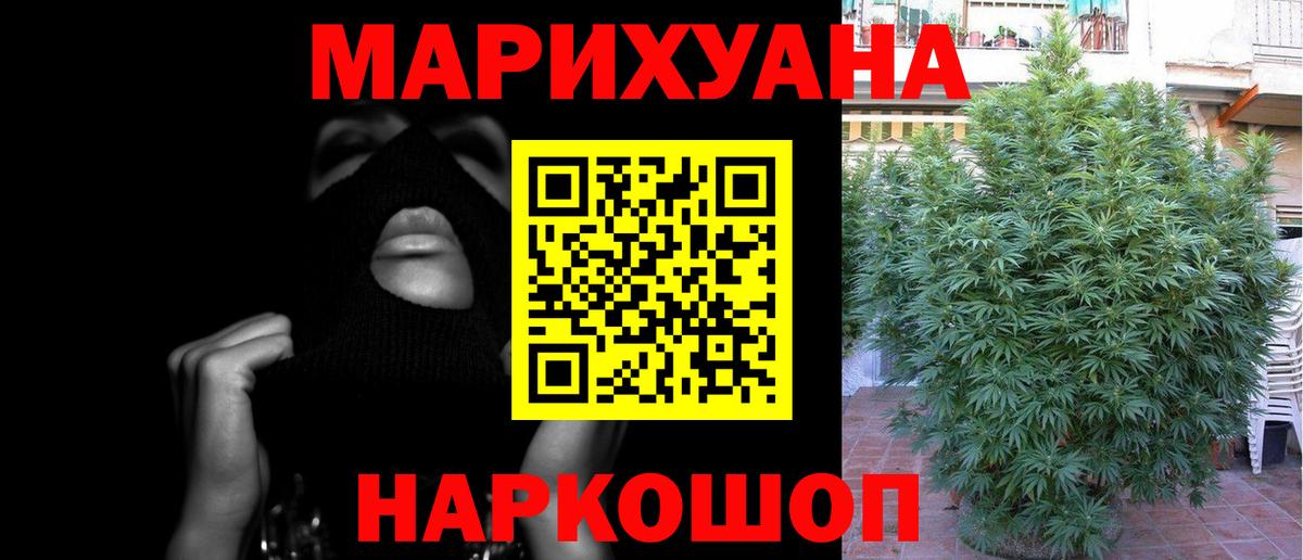 Бошки Шишки конопля Кириши